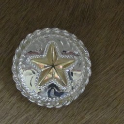 1″ Sterling Silver Round Bola with 10K Texas Star and Rope Edge