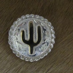 1″ Sterling Silver Round Bola with 10K Gold Cactus