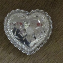 1″ Sterling Silver  Heart Bola with Rope Edge