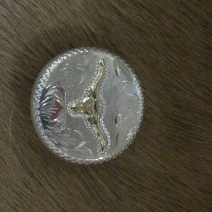 1" Sterling Silver Round Bola with 10k Steerhead