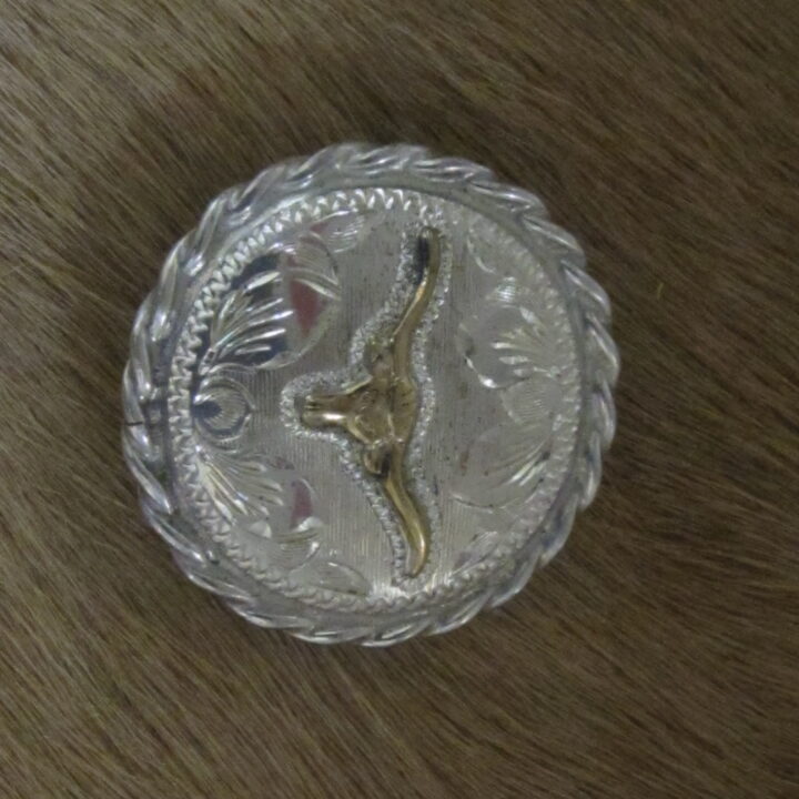 1" Sterling Silver Round Bola with 10K Gold Steerhead
