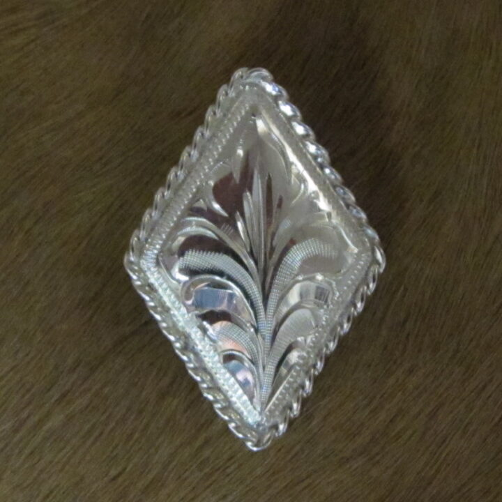 1-1/2" Sterling Silver Diamond Bola with Rope Edge