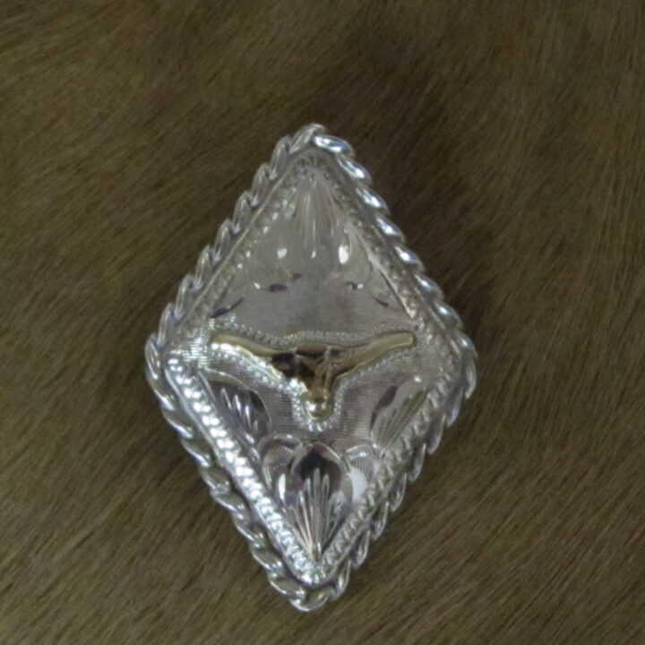 1-1/2" Sterling Silver Diamond Bola, 10k Gold Steerhead with Rope Edge