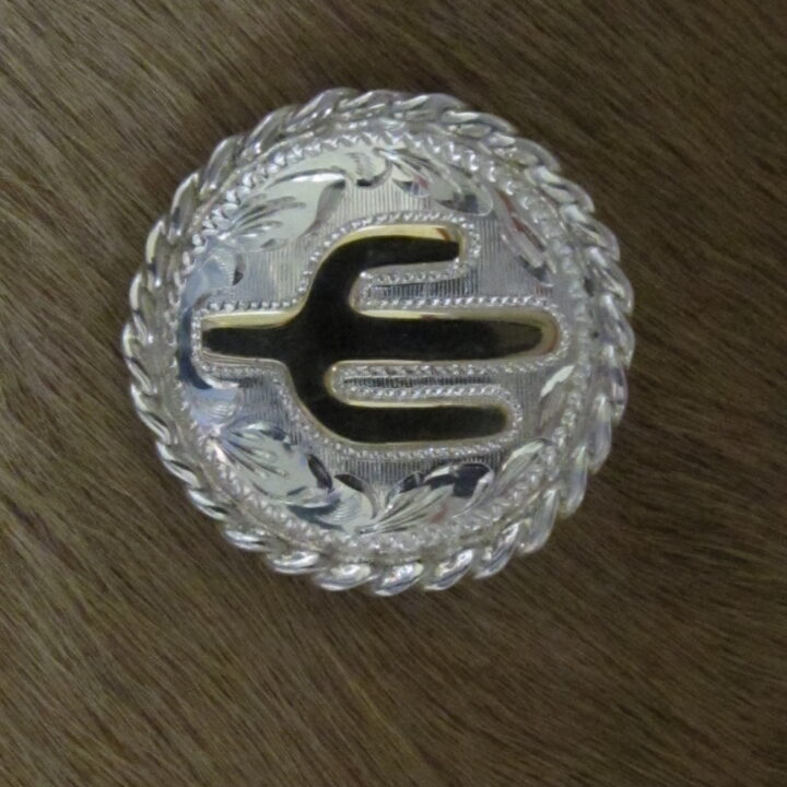 1" Sterling Silver Round Bola with 10K Gold Cactus