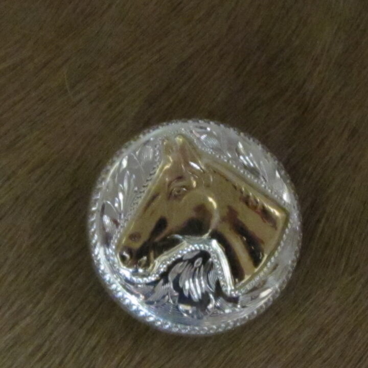 1" Sterling Silver Round Bola with 10k Gold Horsehead