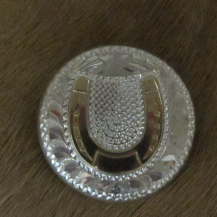1-1/4" Sterling Silver Hand Engraved Round Bola with 10K Gold Horseshoe