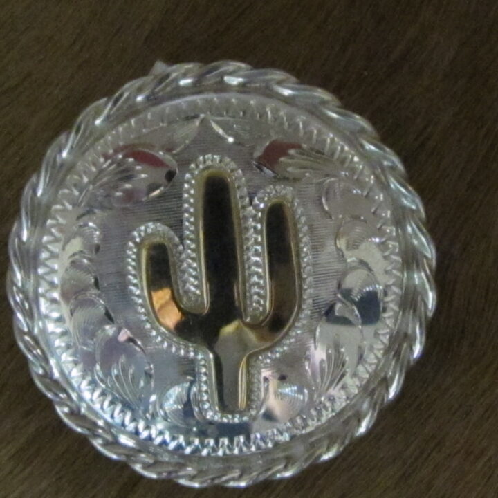 1 1/2" Sterling Silver Round Bola with 10K Gold Cactus & Rope Edge