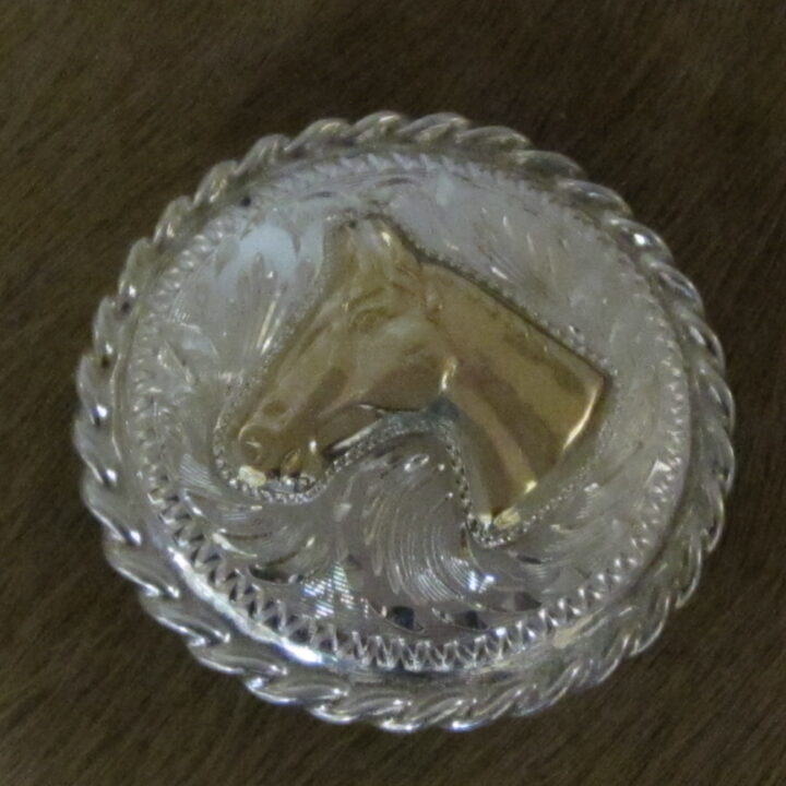 1 1/2" Sterling Silver Round Bola with 10K Gold Horsehead & Rope Edge