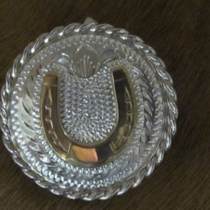 1 1/2" Sterling Silver Round Bola with 10K Gold Horseshoe & Rope Edge