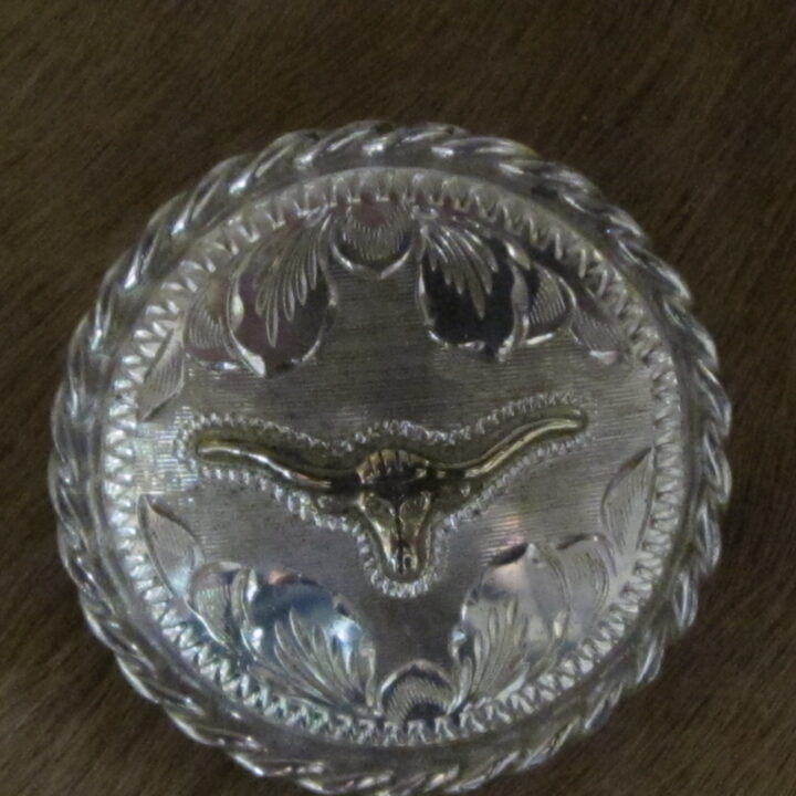 1 1/2" Sterling Silver Round Bola with 10K Gold Steerhead & Rope Edge