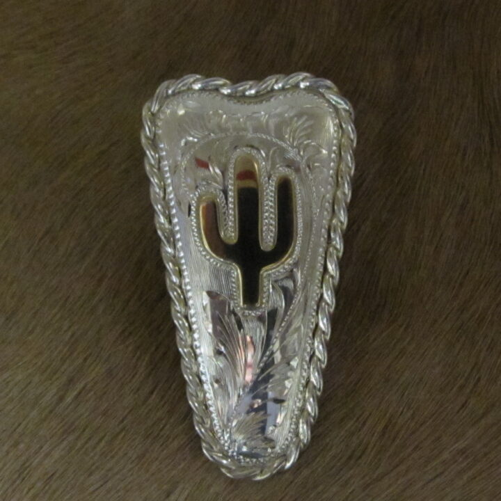 1" X 2" Sterling Silver Tapered Plate Bola with 10k Gold Cactus< Rope Edge