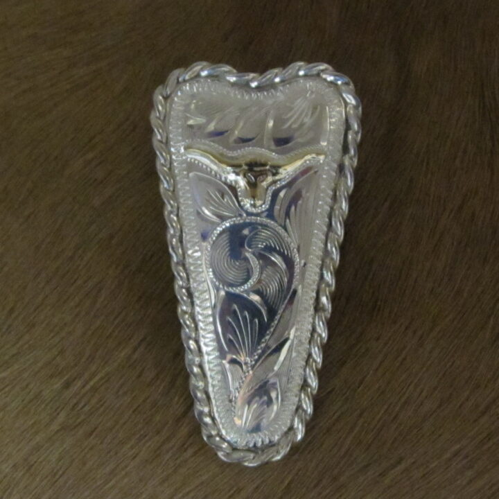 1"X2" Sterling Silver Hand Engraved Tapered Plate Bola, Rope Edge with 10K Gold Steerhead