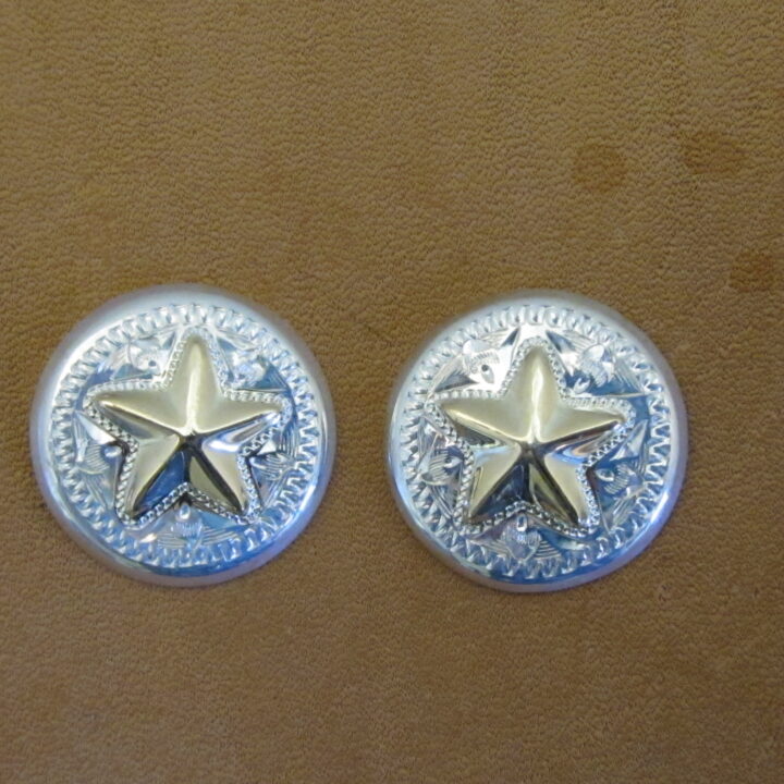 3/4" Sterling Silver & 10k Gold Round Earrings