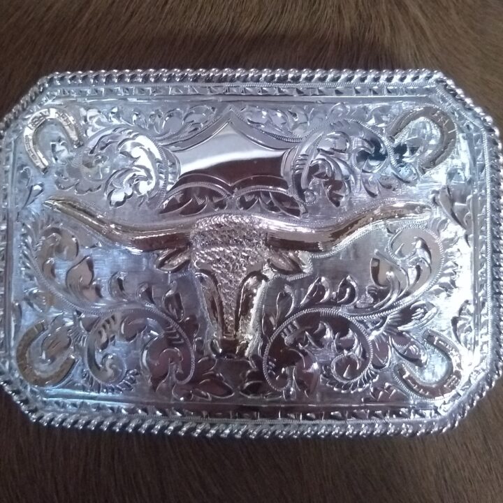 Steerhead & Horseshoe Buckle