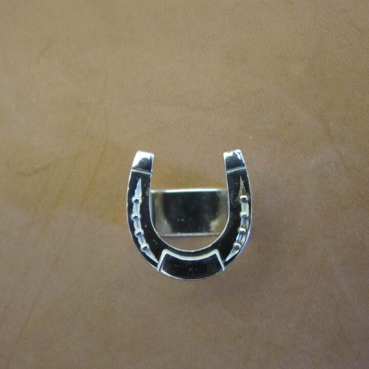 Horseshoe Scarf Slide